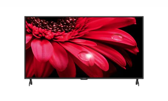 Sharp 65 4K Ultra HD Smart TV 