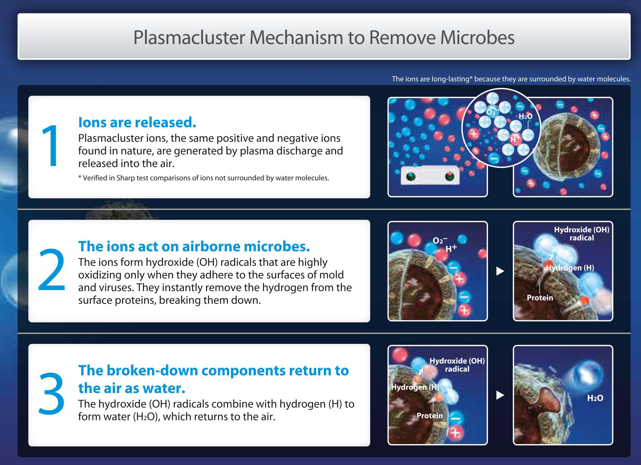 remove%20microbes.jpg