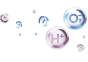 Separated H+ and O₂⁻ ions