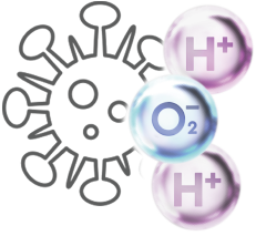 H+ and O₂⁻ bonding with particles