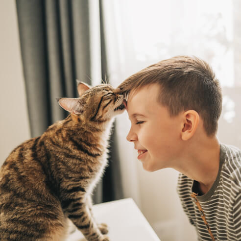 Playing with a cat