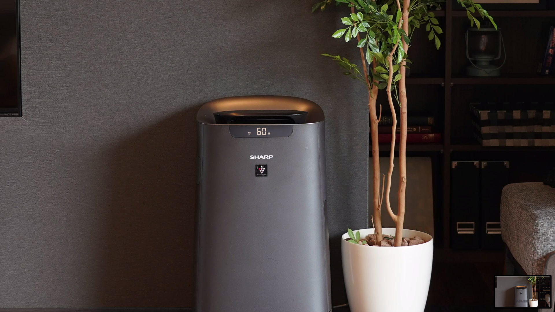 Air purifier sharp deals company