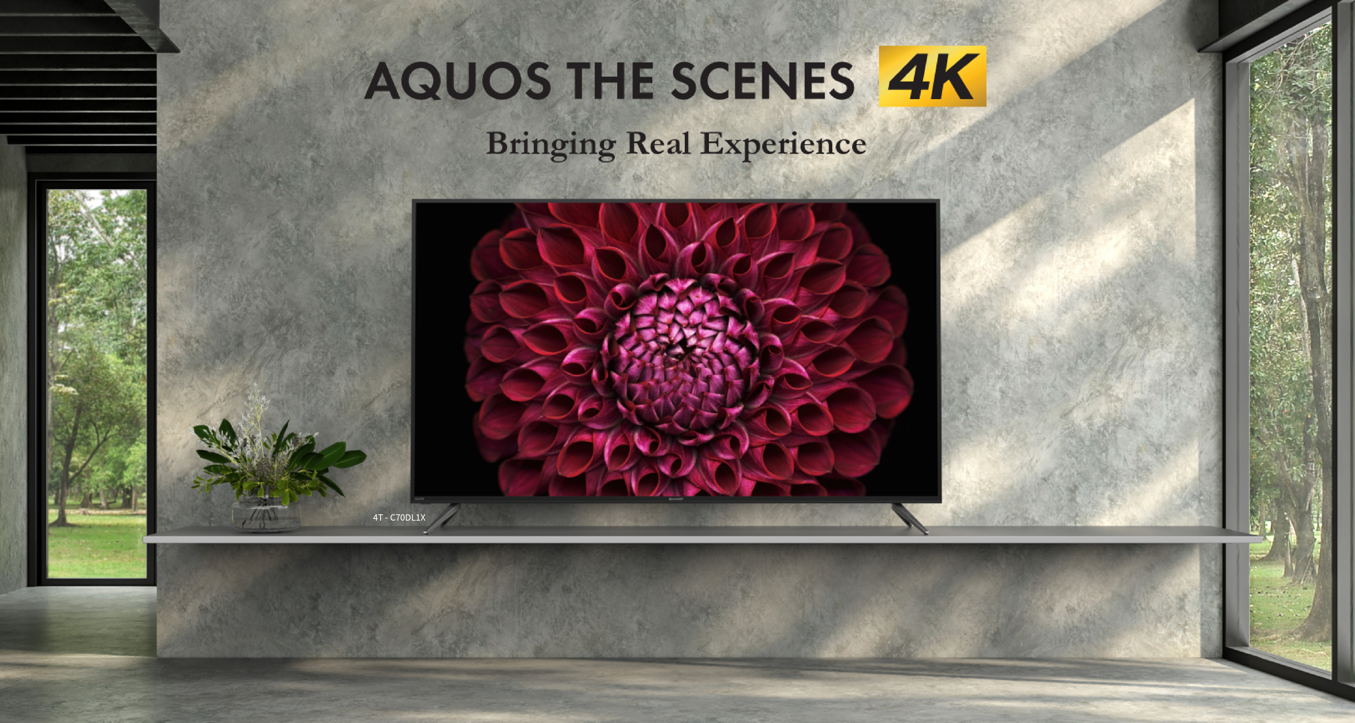 AQUOS The Scene 4K